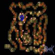 Payon Dungeon